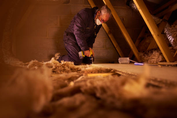 Best Insulation Maintenance and Repair in Aurora, IN